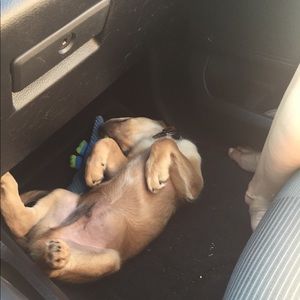 Meet your Posher, William